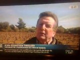Reportage BFM TV sur la disparition de vignes en AOC Bandol à Sanary