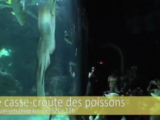 Programme des animations du 25 février au 11 mars 2012