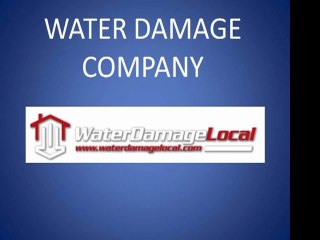 Detroit Water Damage Company