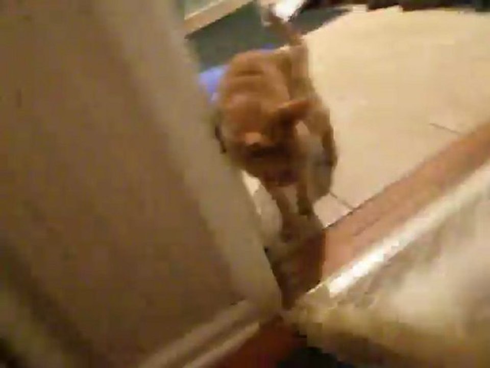TIPPY RAGE THE CRATE!