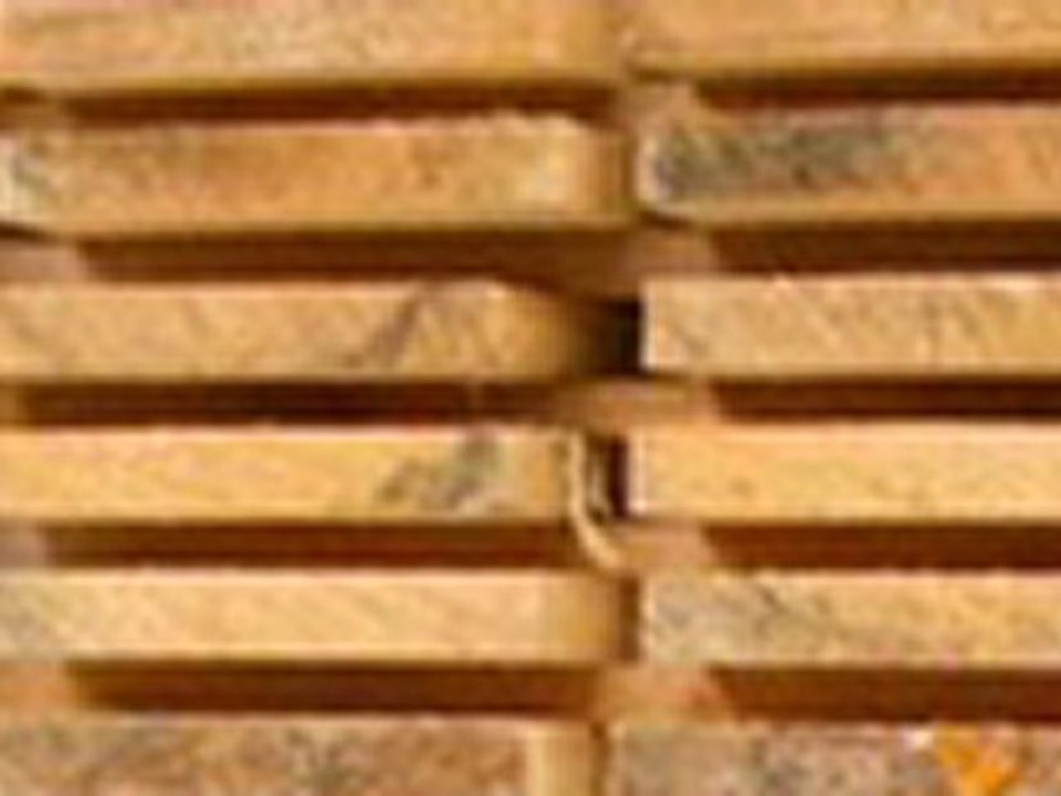 Angara pine - Larch  - Pine Sawn Timber
