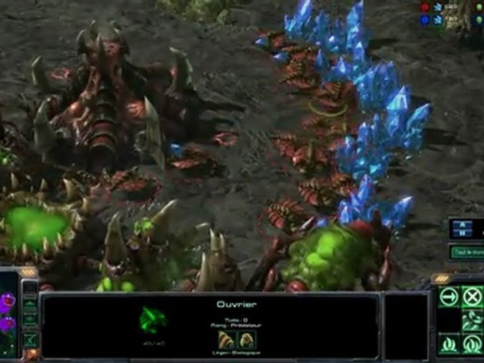 Move of The Week #3