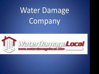 Water Damage Company Phoenix