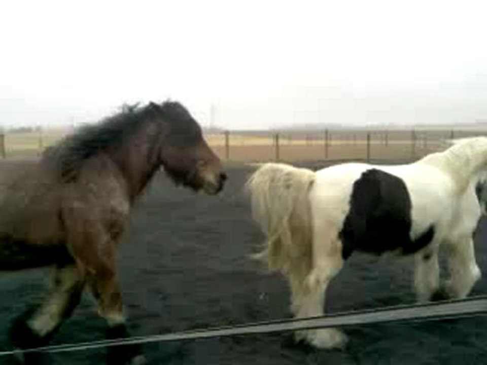 Univer et Freeze le 22/02/2012