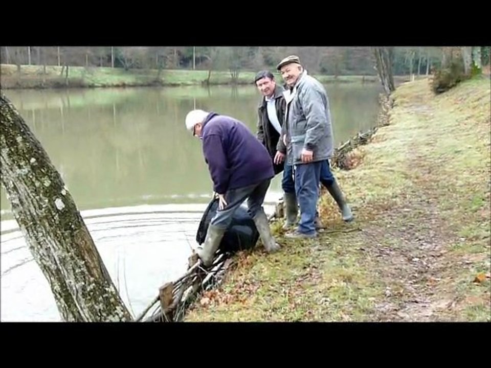alevinage de l'étang, le 24 février 2012