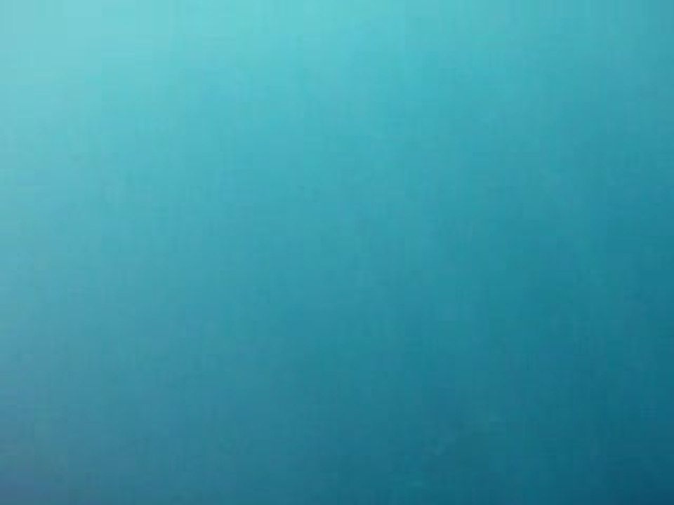 dauphin pointe des pêcheurs tahiti