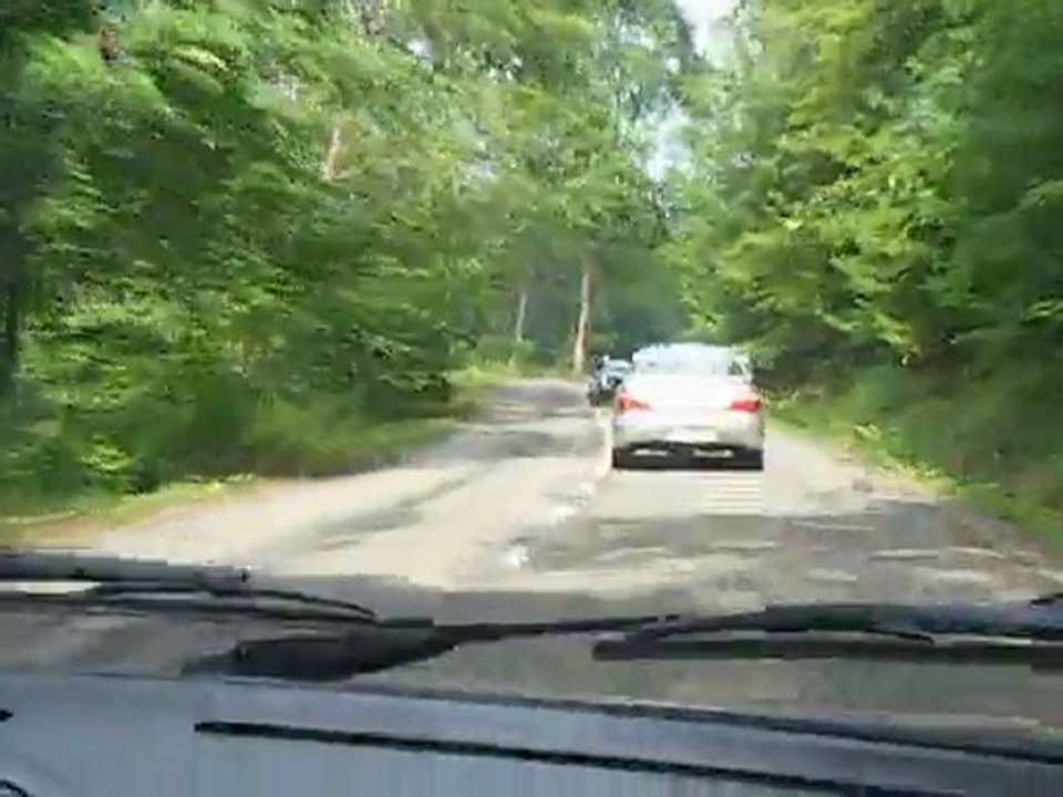 rallye tourristique des sangliers 2011 (en 205 gti 1.9l full stock)