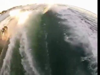 Surfing With Dolphins