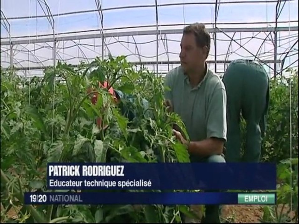 Exploitation agricole embauche des handicapés