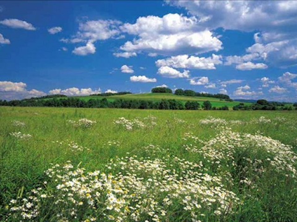 Мори тръгнали са малки моми