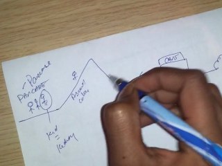 Understanding Retroperitoneal Structures: Key Anatomy You Should Know 🩻