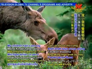 Dr. Chris Foster and Mormons for Animals - P1/2