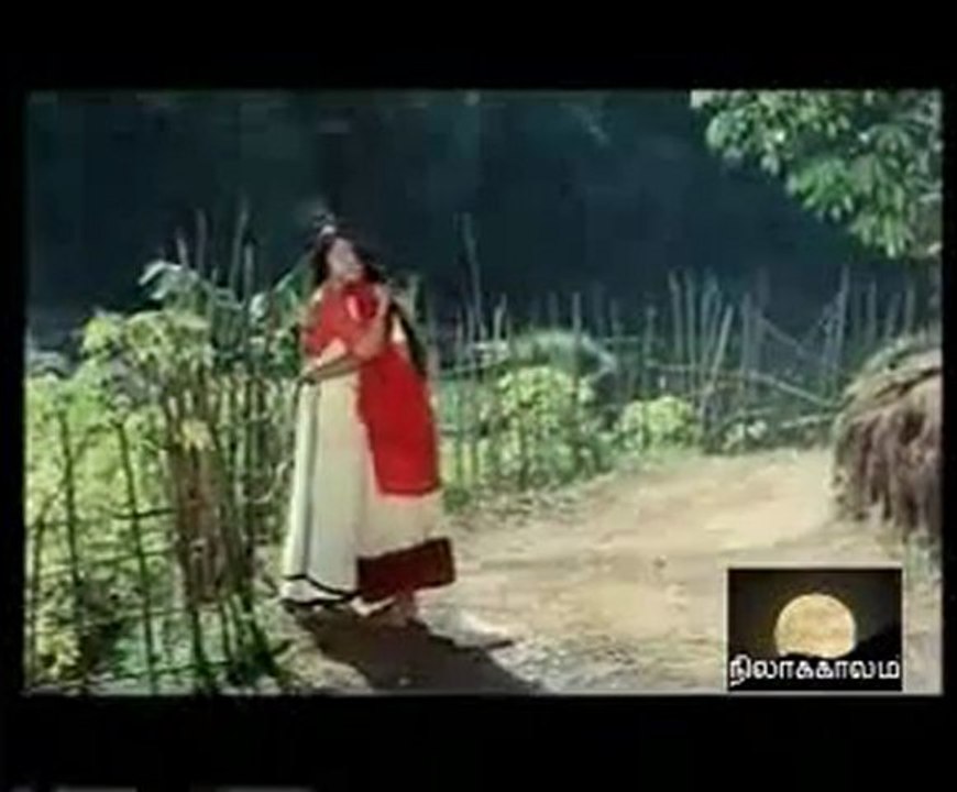 POOMPAARAIYIL POTTU VACHA...PAKEE Creation