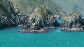De Wellington à Picton, via le détroit de Cook - Nouvelle Zélande (HD)