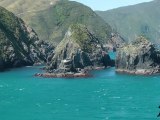 De Wellington à Picton, via le détroit de Cook - Nouvelle Zélande (HD)