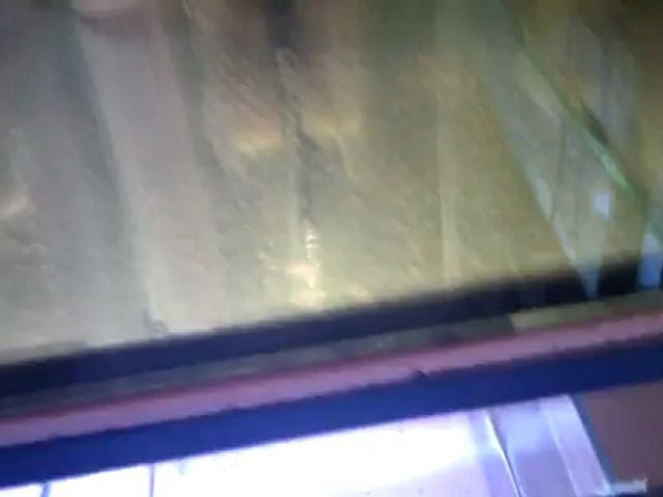 SSVT