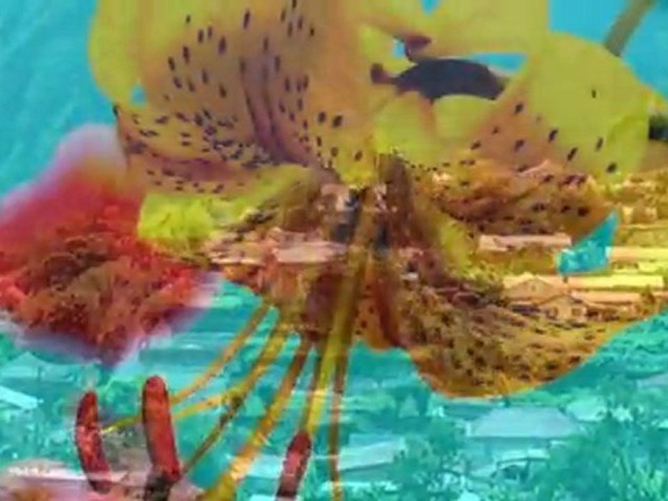 arette.............................. sega