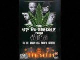 The up In Smoke Tour (snoop dog dr dre)