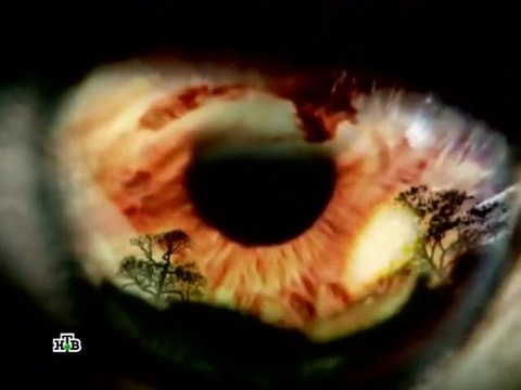 Карелия. Ворота в параллельный мир?