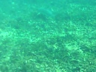 Thaï to remember 3ème et dernière partie - Ko Tao