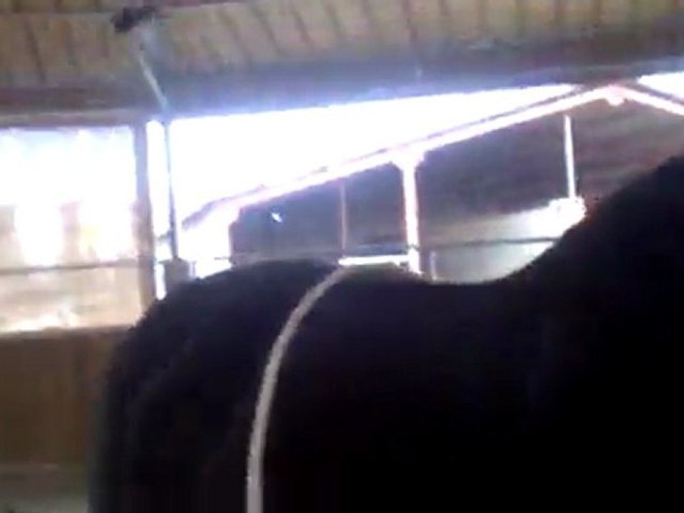24022012024