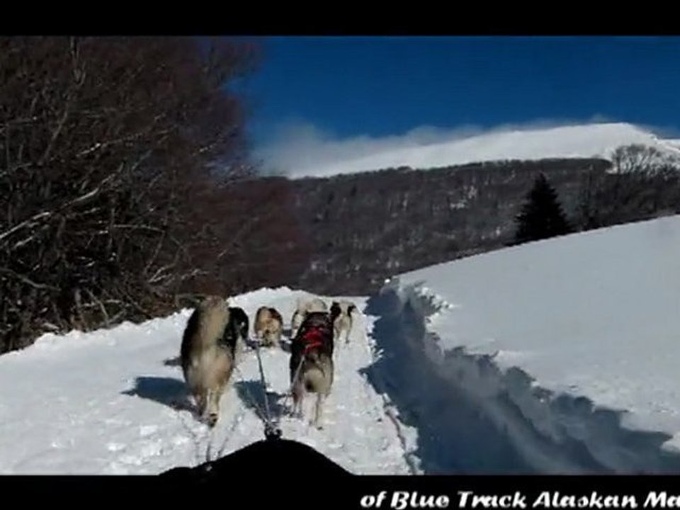 Semaine de Traineau à Vassieux en Vercors