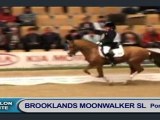 Film desentrelace BROOKLANDS MOONWALKER SL-linaro dvd