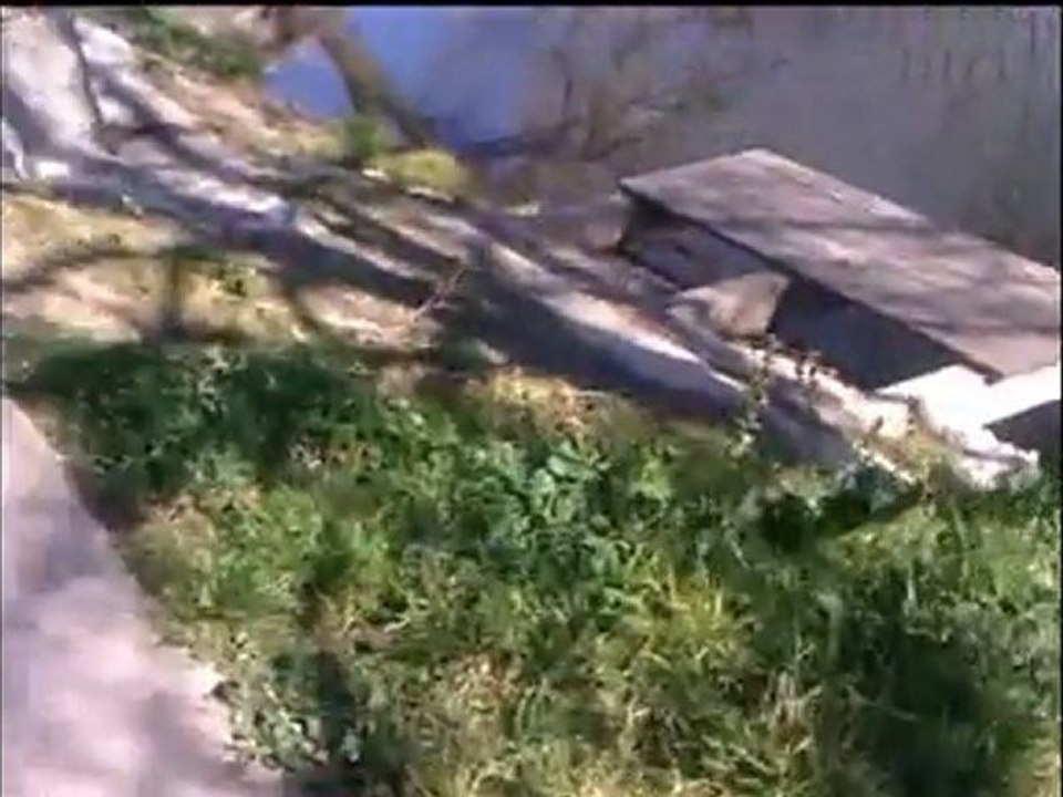 jason xx buscando al ultimo cagarrutillas