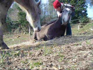 210212 - loulous + balade en main