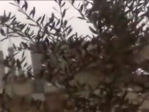 Suriye'de silahlar ölüm kusuyor