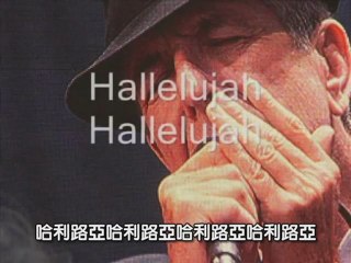 Leonard Cohen - Hallelujah(original studio version)(1984)中英文歌詞字幕