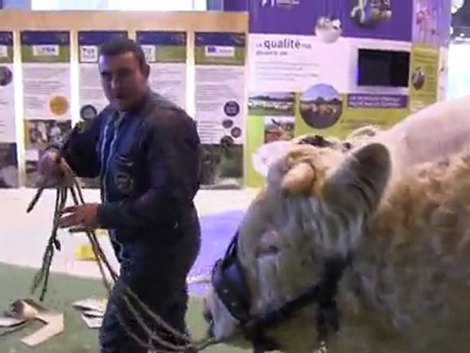 SIA 2012 : Bêtes à concours