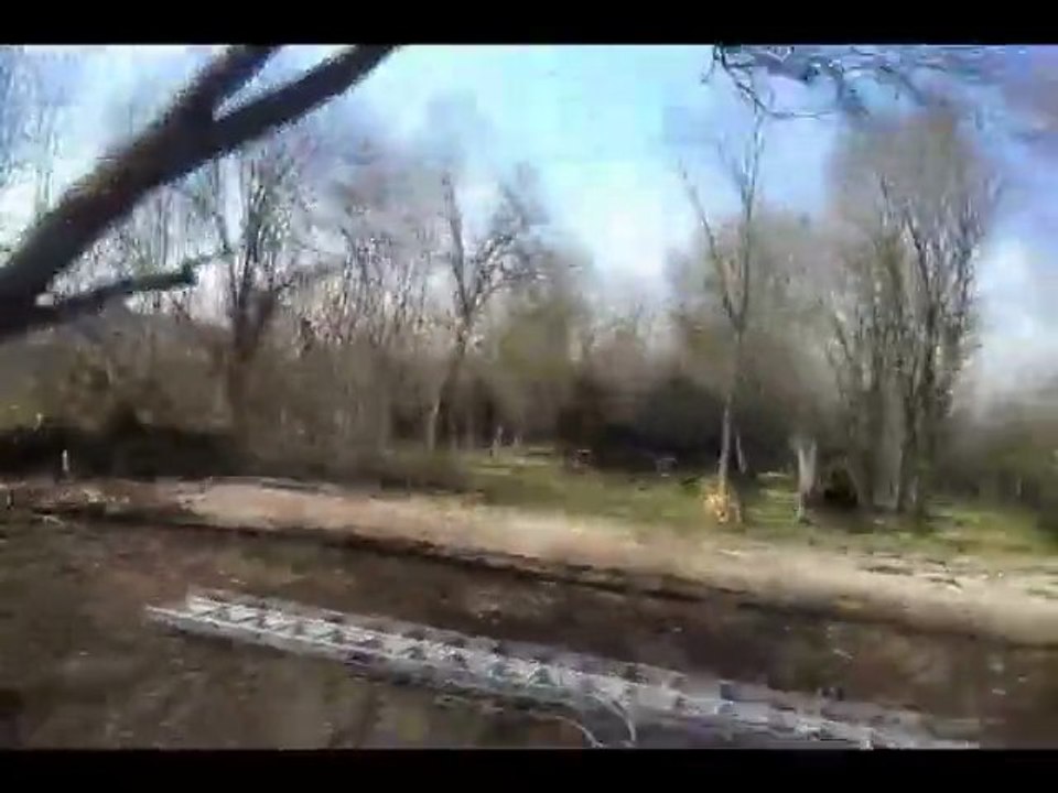 l'arbre va tomber