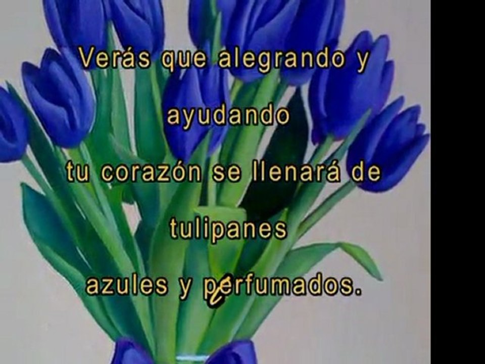 Puedo ser tu hada...
