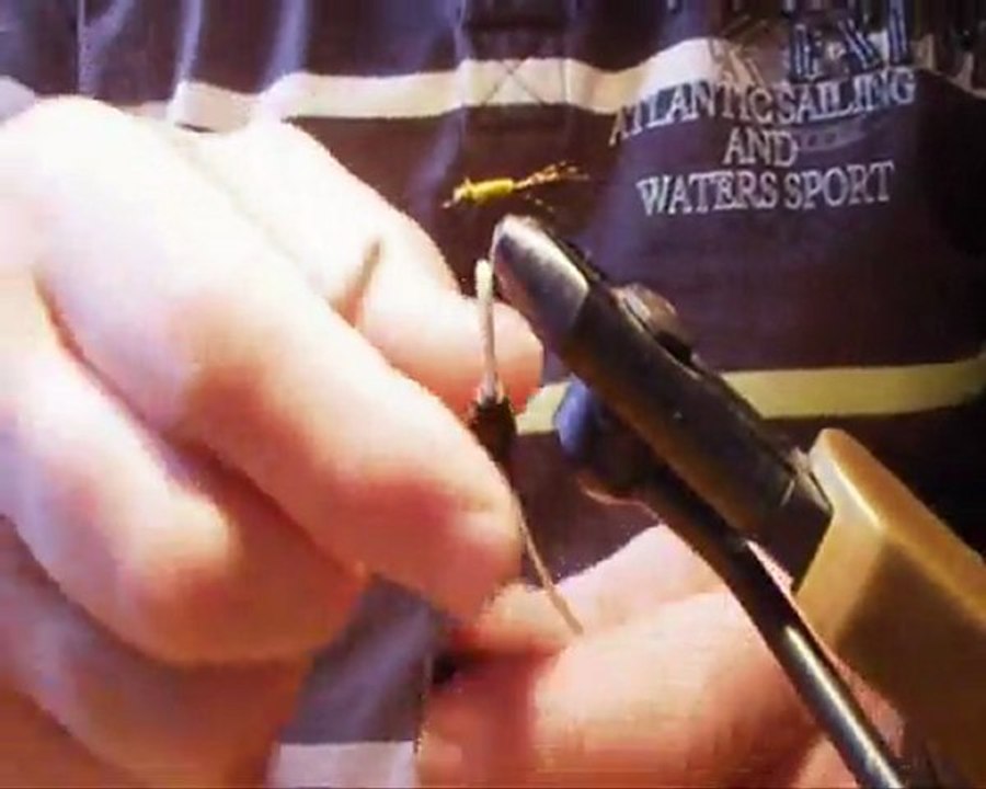 ARAIGNEE  GRISE A CORPS JAUNE