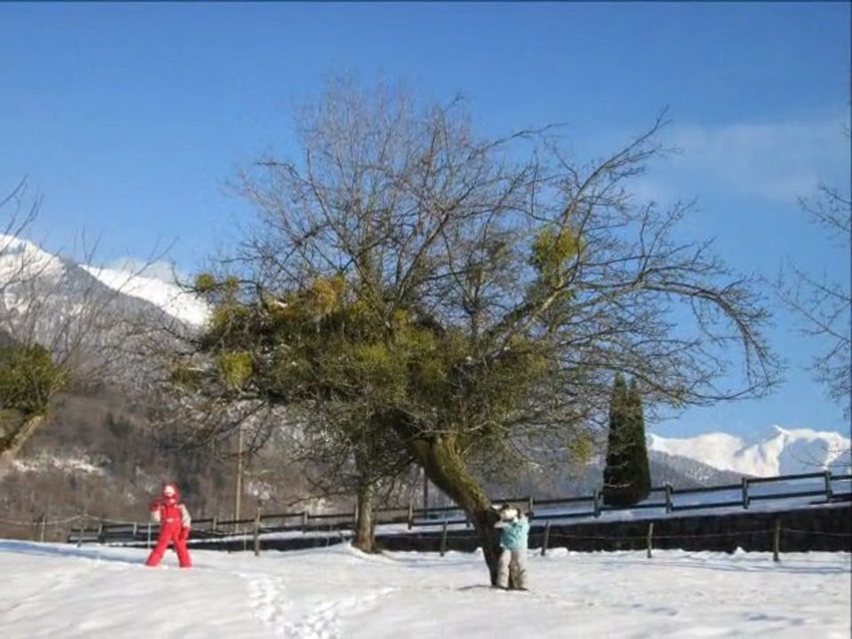 vacs fevrier 2012 diapo