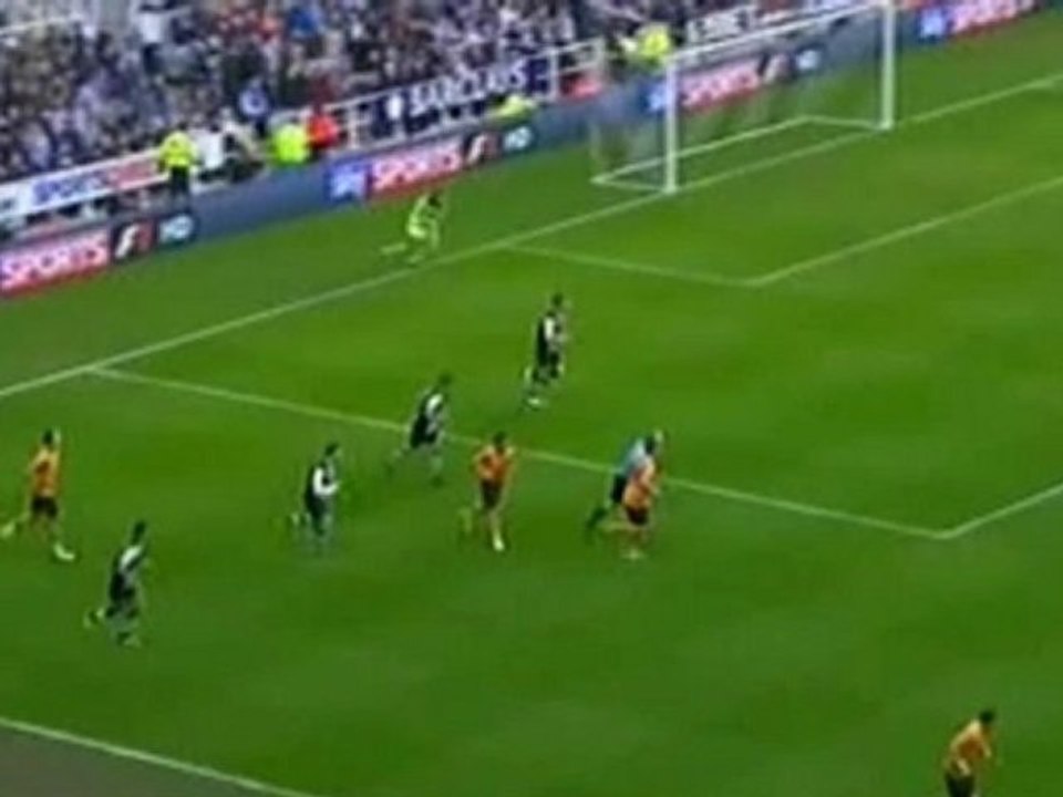 Newcastle 2-2 Wolves_Cisse, Guitterzz superb-strike