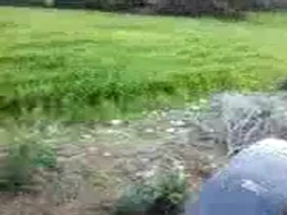 Video-0002 (2)