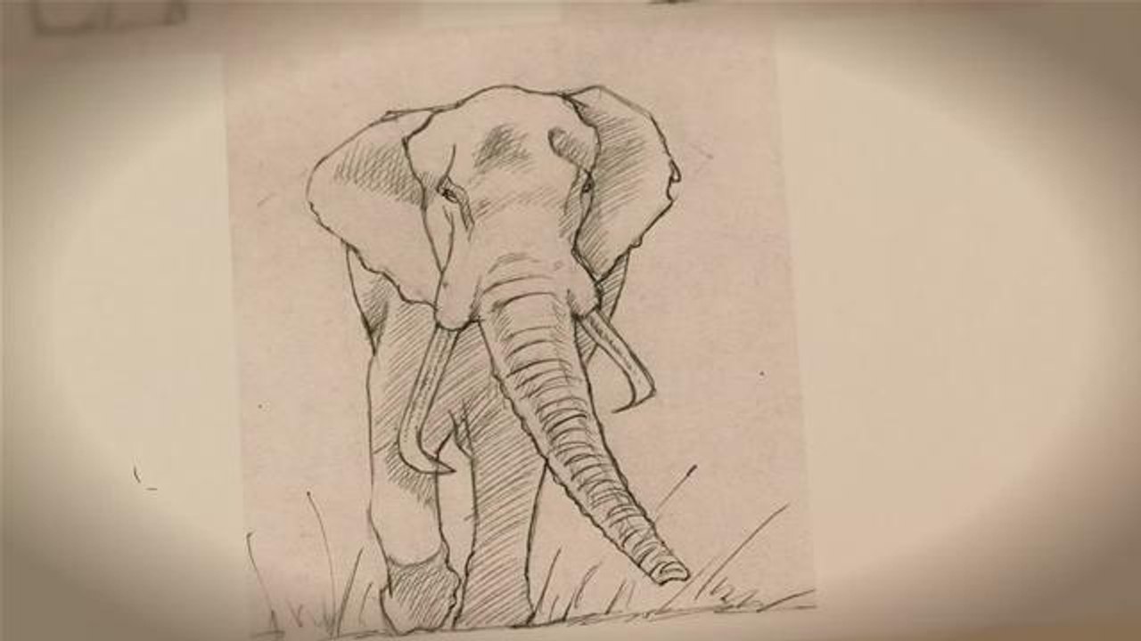 How To Draw An Elephant