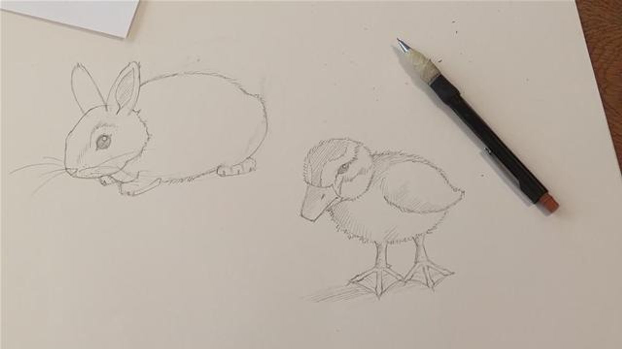 How To Do Drawings Of Baby Animals