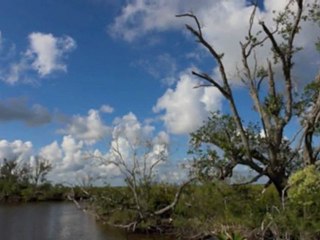 West Freeman LA Marsh Gallery Exhibit 1022 Gallery