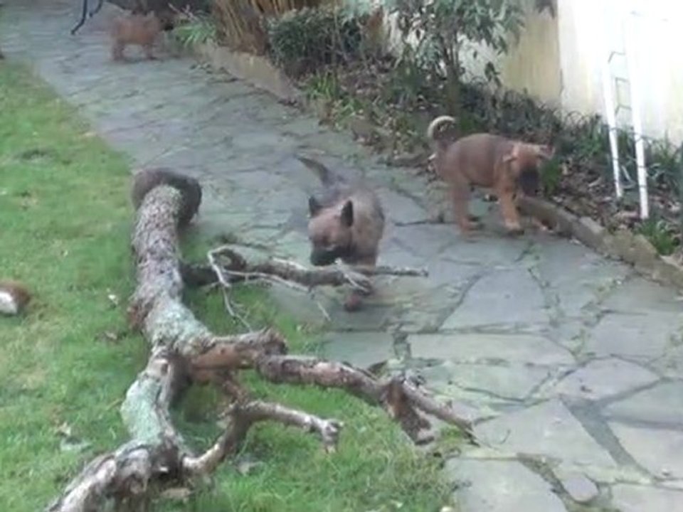 20120225123856 (1) (1)