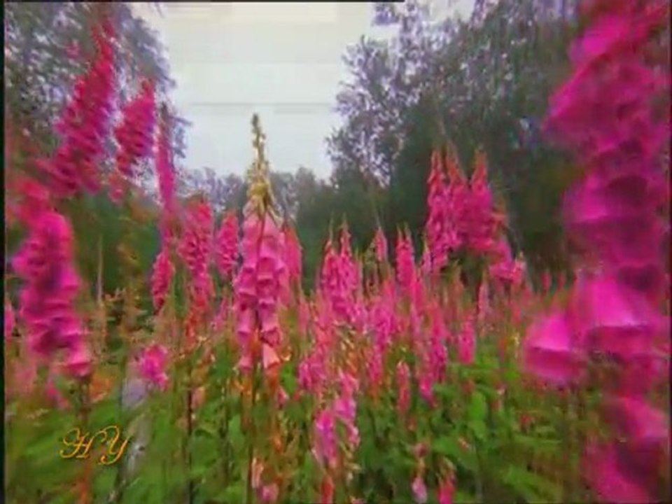 Hz İsa ve Hz Mehdi Birliktedir Diyor Bediüzzaman Hazretleri