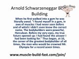 Build Muscles Like Arnold Schwazenegger