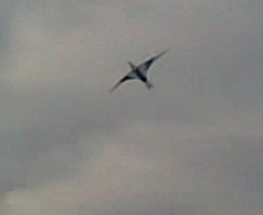 Video124