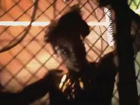 Nuevo 2012 !!! Daddy Yankee Ven Conmigo Ft Prince Royce