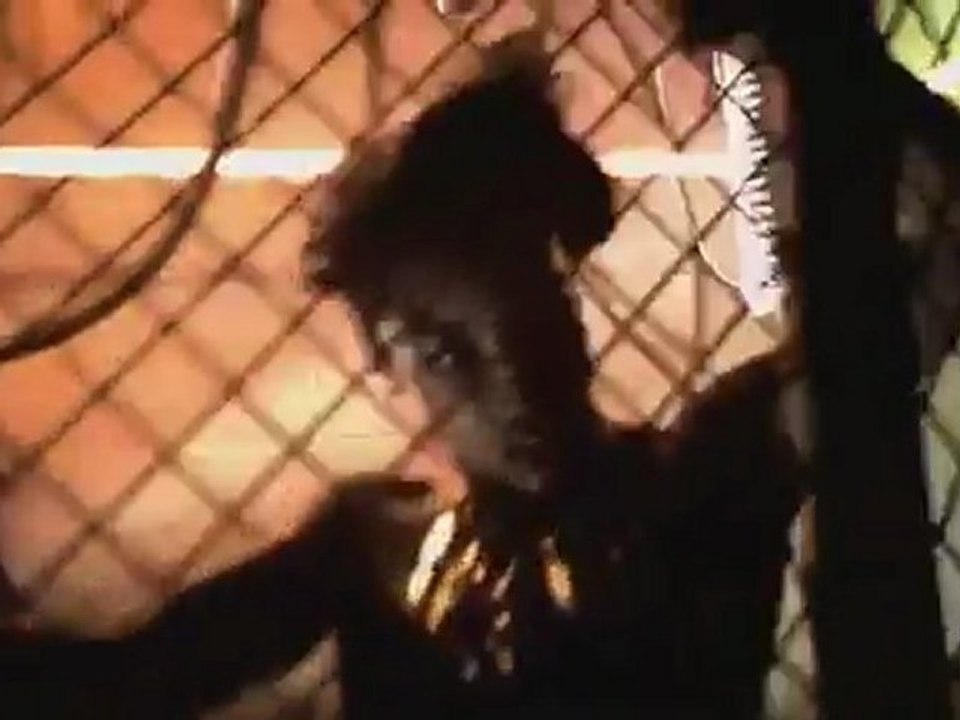 Nuevo 2012 !!! Daddy Yankee   Ven Conmigo Ft Prince Royce