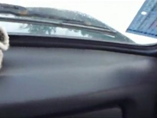 Первый выезд Внедорожного клуба "Мирный 4х4" на рождество.