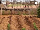 Siria, ribelli: iniziata offensiva di terra a Homs