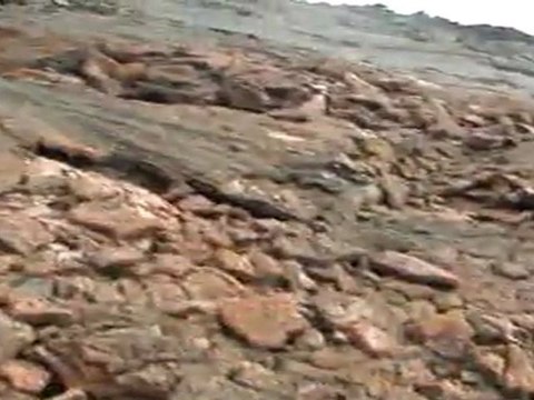 Sur une coulée de lave du piton de la fournaise à la Réunion